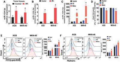 MiR-124-3p mediates gastric cancer cell ferroptosis induced by an anti-cancer drug polyphyllin I